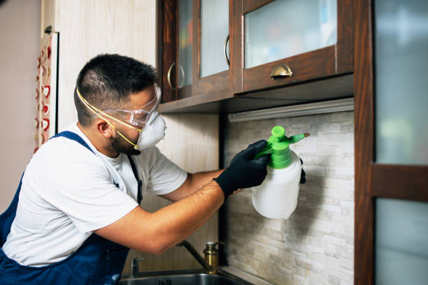 Flea Control Services in Crownsville, MD