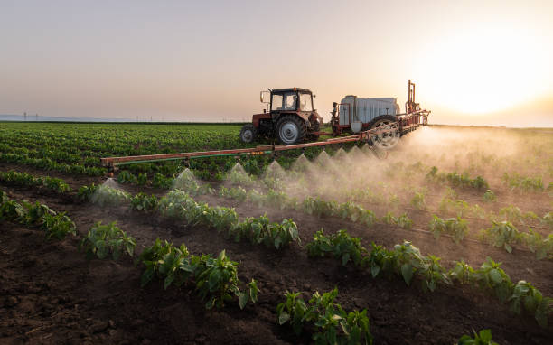 Best Commercial Pest Control Services  in Crownsville, MD