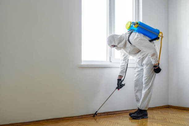 Best Flea Control Services  in Crownsville, MD