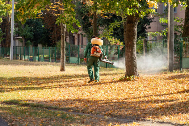 Best Termite Control Services  in Crownsville, MD